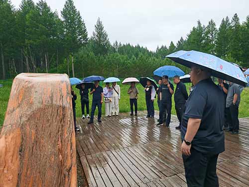 王尚海紀念林參觀 王尚海紀念林參觀